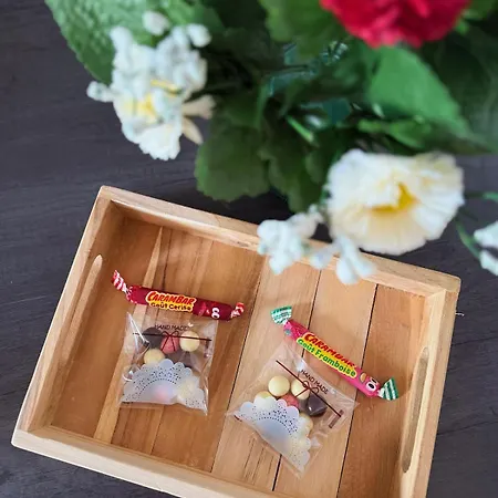 Apartmán Elegance Cocooning Nancy