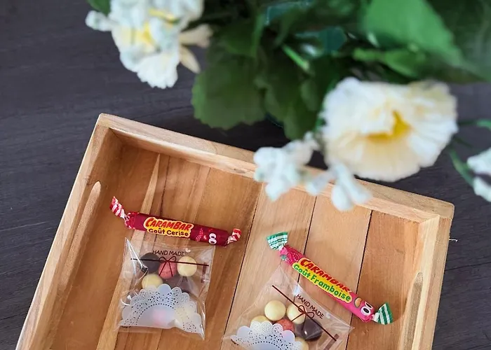 Apartmán Elegance Cocooning Nancy